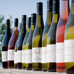 Eine Notiz über das Weingut Alexander Laible in der beliebten Zeitschrift "BUNTE"