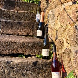 "BUNTE Genuss": Musik im GLAS